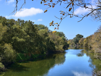 river on a nice day