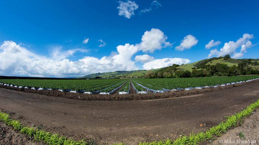 agricultural irrigation