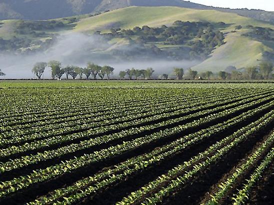 agriculture irrigation